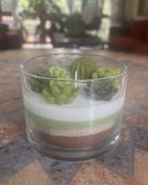 Handcrafted Succulent Terrarium Soy Candle - Pear Pomegranate