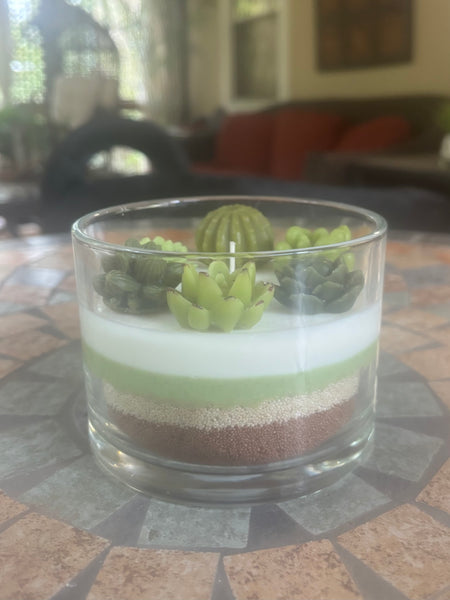Handcrafted Succulent Terrarium Soy Candle - Pear Pomegranate