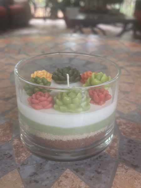 Handcrafted Succulent Terrarium Soy Candle - Mahogany Teakwood