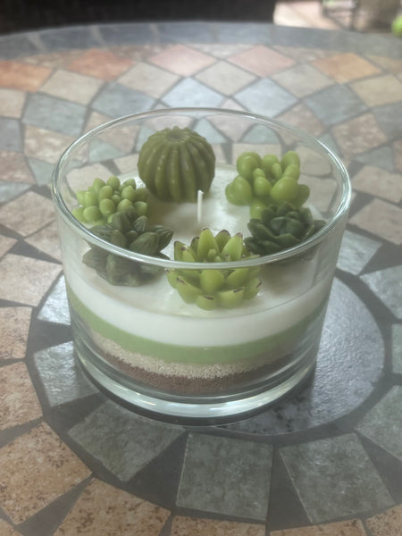 Handcrafted Succulent Terrarium Soy Candle - Pear Pomegranate