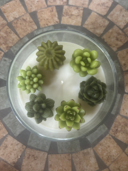 Handcrafted Succulent Terrarium Soy Candle - Pear Pomegranate